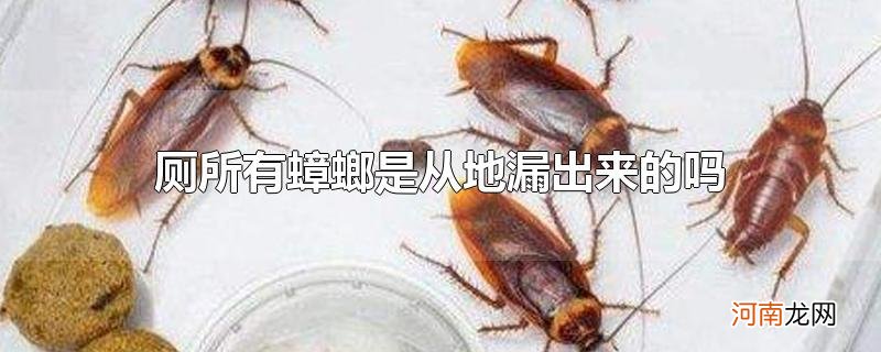 厕所有蟑螂是从地漏出来的吗