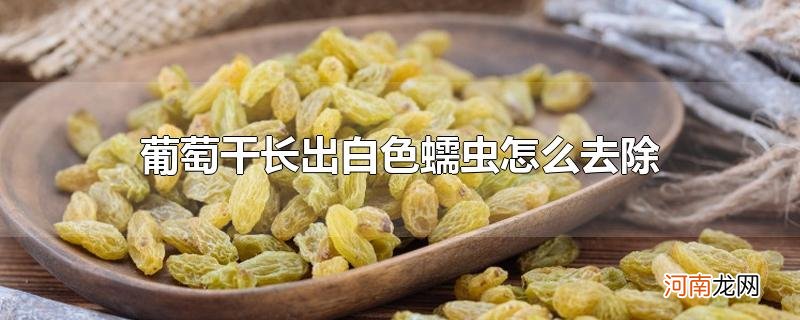 葡萄干长出白色蠕虫怎么去除