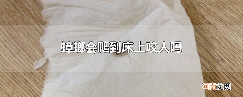 蟑螂会爬到床上咬人吗