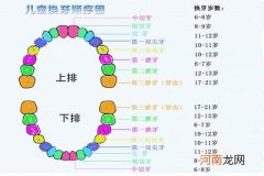 一张儿童换牙顺序图 让你明了孩子的换牙全过程