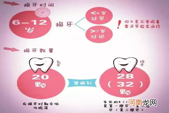 一张儿童换牙顺序图 让你明了孩子的换牙全过程