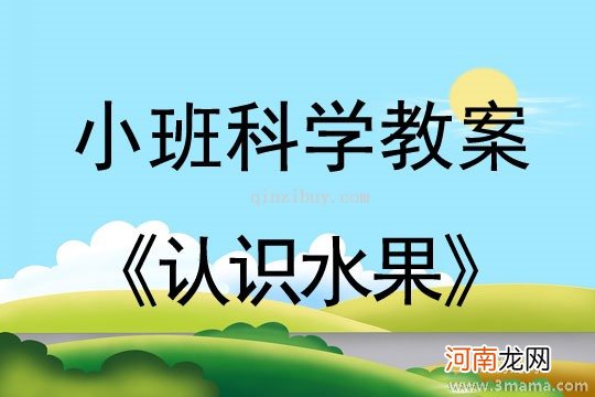 大班科学活动三角形支架教案反思