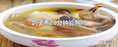 鸽子煮20分钟能熟吗