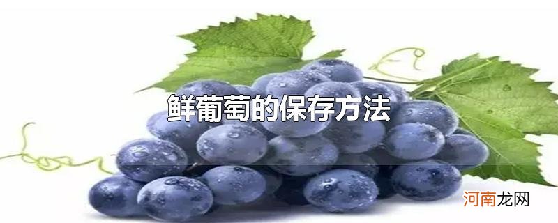 鲜葡萄的保存方法