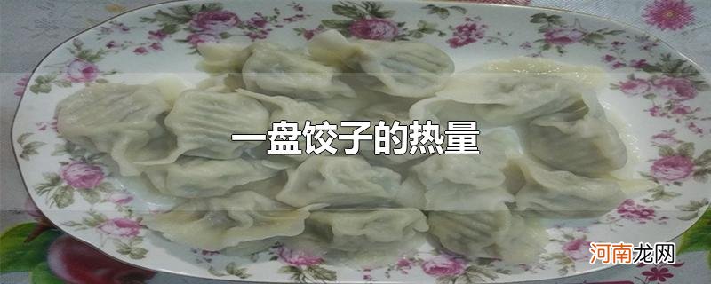 一盘饺子的热量