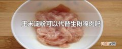 玉米淀粉可以代替生粉腌肉吗