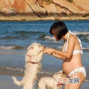 华苓：怀孕时能不能养狗
