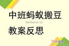 中班社会蚂蚁搬豆教案反思