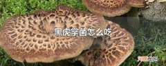 黑虎掌菌怎么吃