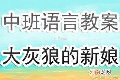 中班语言活动大灰狼娶新娘教案反思