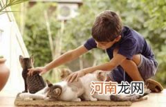 孩子喜欢虐待小动物必须要纠正其行为