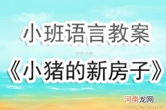 小班美术活动小猪造新房教案反思