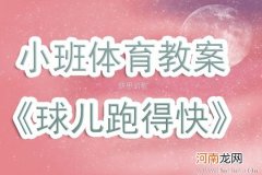 小班体育游戏快乐小球教案反思