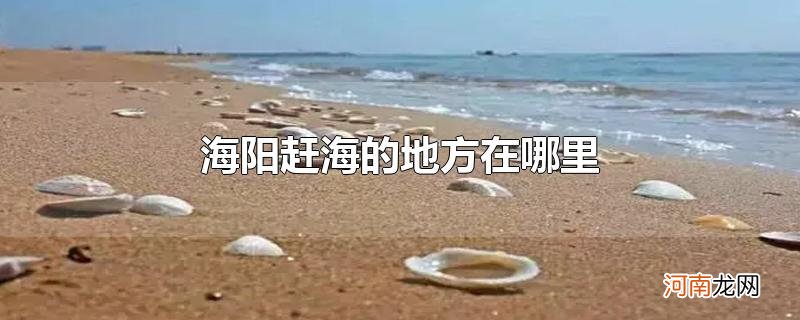 海阳赶海的地方在哪里