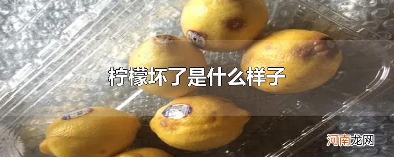 柠檬坏了是什么样子