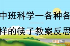 中班科学活动筷子教案反思