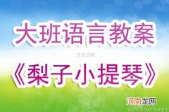 大班语言活动《梨子小提琴》优秀教案反思