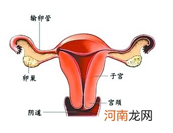 女性子宫害怕什么