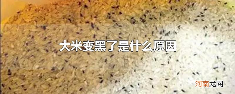 大米变黑了是什么原因