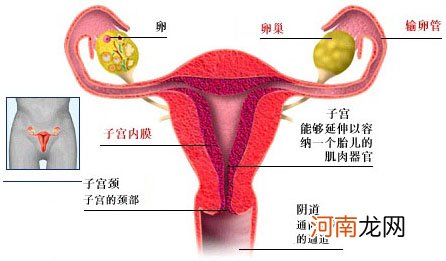 别让输卵管堵塞拦住孕育之路