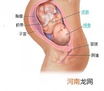 哪些因素影响孕妈骨盆