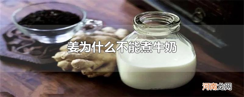 姜为什么不能煮牛奶