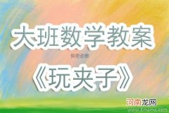 中班科学活动生活中的夹子教案反思