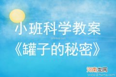 小班科学活动《罐子的秘密》教案反思