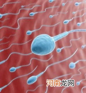 注意喽 男性精子过多也会不育