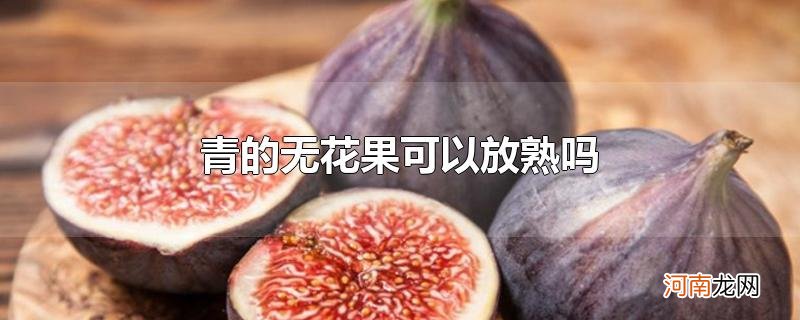 青的无花果可以放熟吗