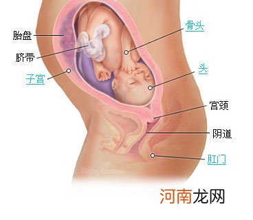 瘦妈妈怀孕生子必修课