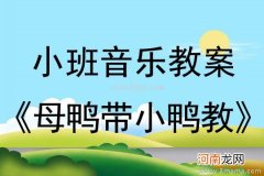 小班音乐活动母鸭带小鸭教案反思