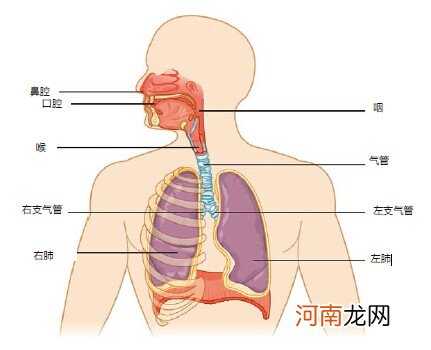 异物进入食管后怎么办