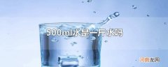 500ml水是一斤水吗