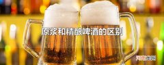 原浆和精酿啤酒的区别