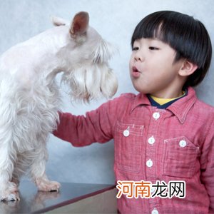 宠物咬伤与狂犬病