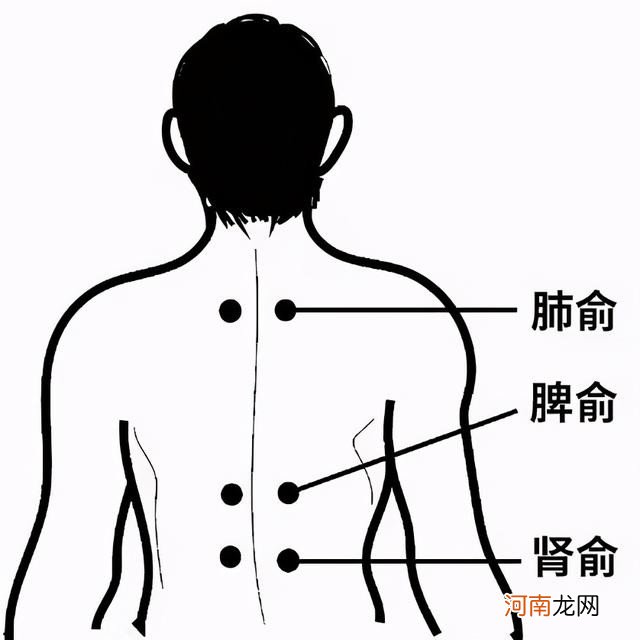 冬病夏治耳鼻喉科三伏贴指南 三伏贴位置示意图