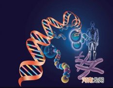 解析关于遗传的14大疑问