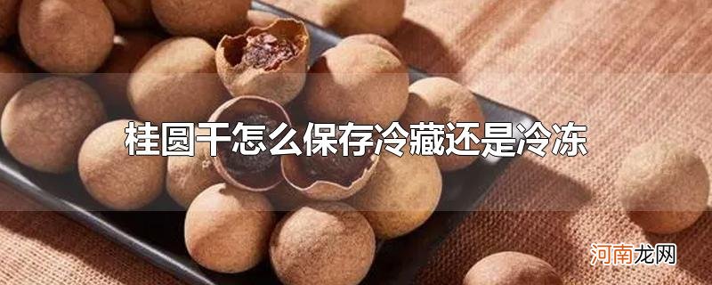 桂圆干怎么保存冷藏还是冷冻