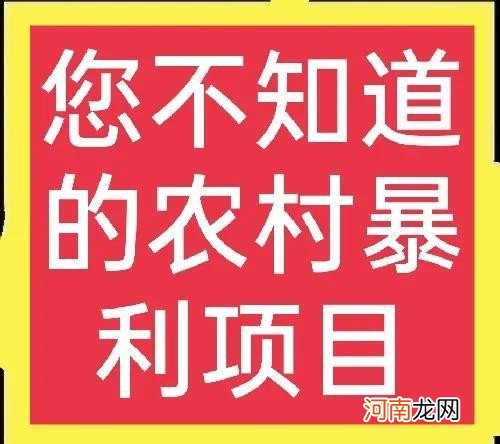 给大家分享如何在手机查询核酸检测电子报告