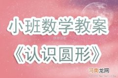 小班数学活动圆贴贴教案反思