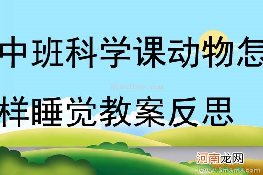 中班科学活动千姿百态的睡姿教案反思