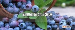 新鲜蓝莓能冷冻吗