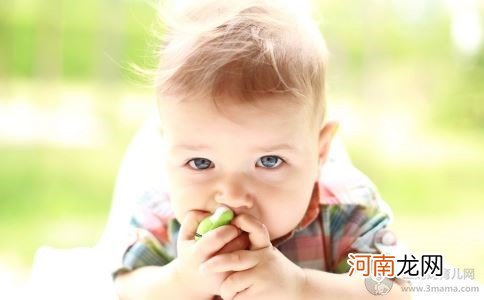 秋季宝宝最该吃的食物有哪些