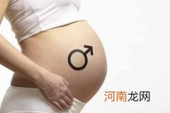 怀孕四个月胎儿性别的鉴定