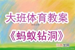 中班体育活动骑马去郊游教案反思