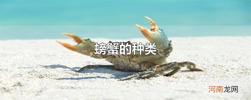 螃蟹的种类