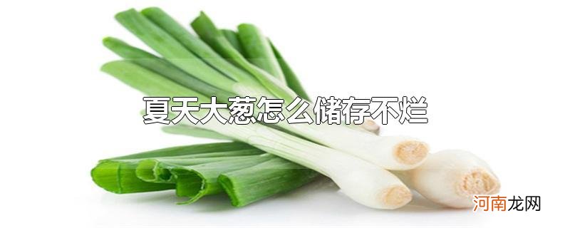 夏天大葱怎么储存不烂