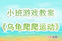 小班体育游戏活动小乌龟旅行教案反思