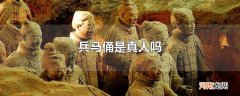 兵马俑是真人吗